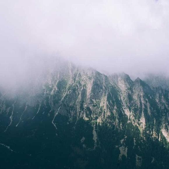 joseph campbell Quotes Demand,Schizophrenic