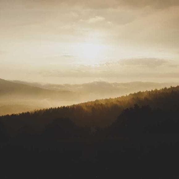 eckhart tolle Quotes Jung,Seeking,Native American