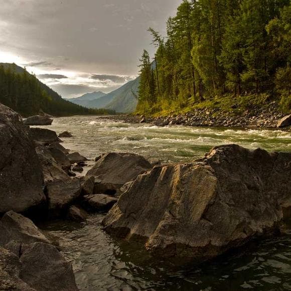 john w. campbell Quotes Desirable,Prophecy