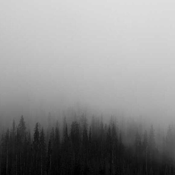 andrew solomon Quotes Despair