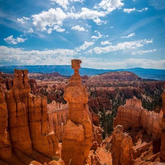 paul david tripp Quotes Faith,Destination,Satisfied