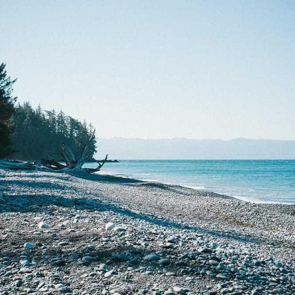 wallace stegner Quotes Destroyed,Our Environment,Wilderness