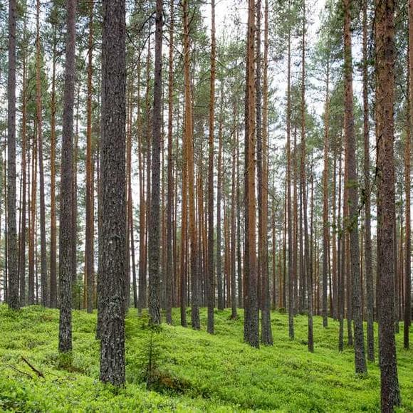 dietrich bonhoeffer Quotes Isolated,Destructive