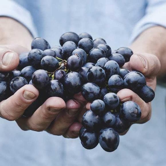 elaine l. jack Quotes Developing,Spirituality,Fruit