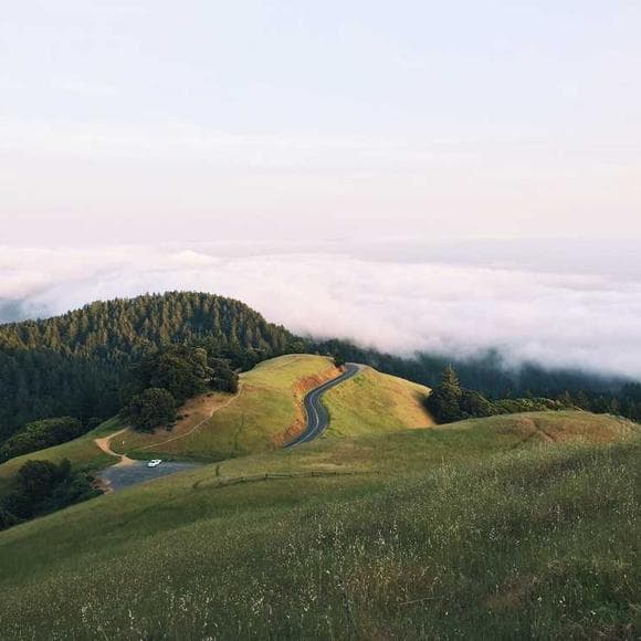 frederick lenz Quotes Journey,Dharma,Self Discovery