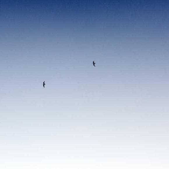 laurie colwin Quotes Persist,People Lie,Hot