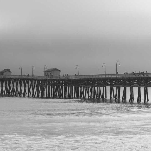 william styron Quotes Panic,Tides,Familiar