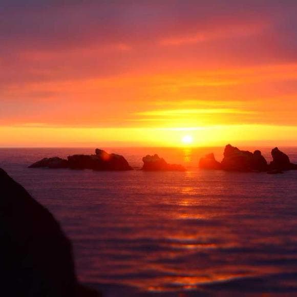 elbert hubbard Quotes Optimism,Untrue,Errors