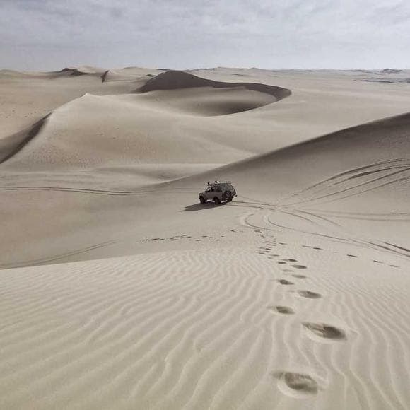 edward abbey Quotes Joy,Operations,Doomed