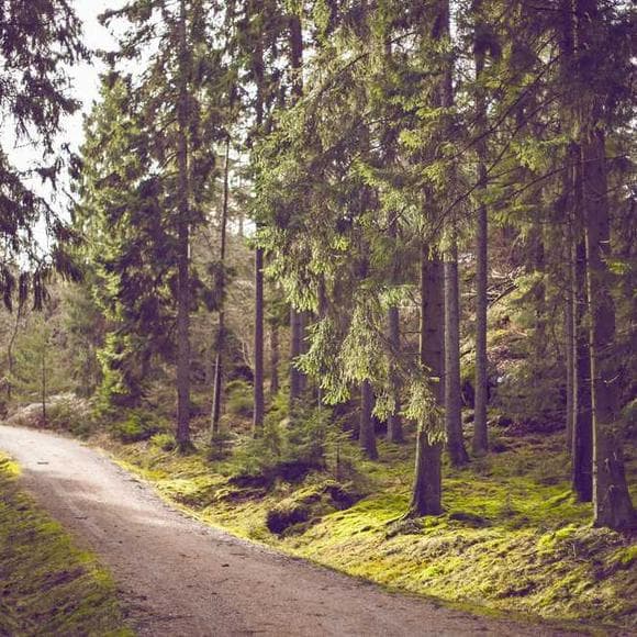 henry david thoreau Quotes Foe,Natural,Drills