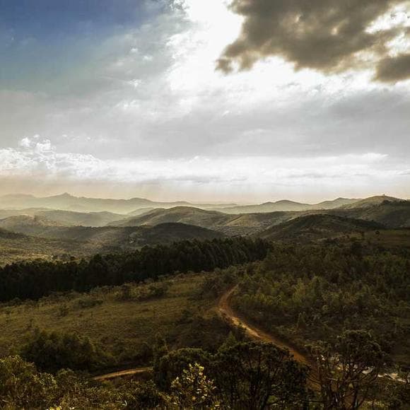 d. h. lawrence Quotes Environmental,Drink Water,Nobody Knows