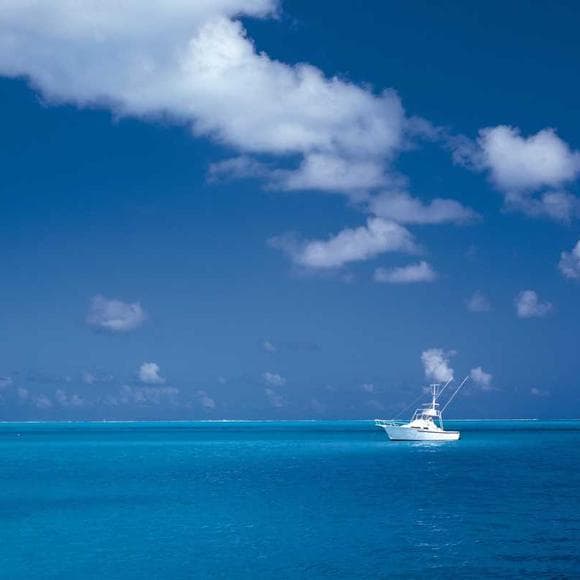 edward carpenter Quotes Sea,Ears,Yards