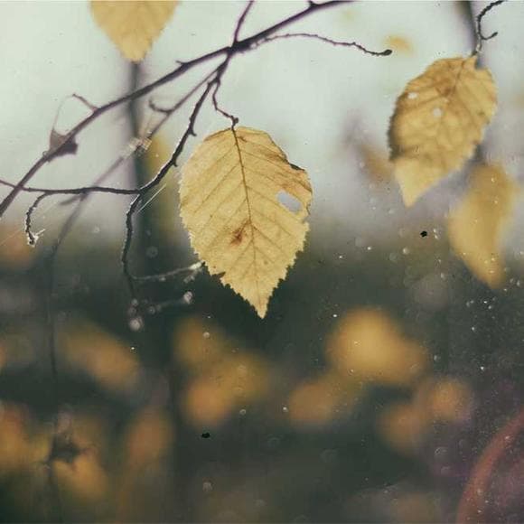 ralph waldo emerson Quotes Earth And Nature