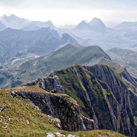 archibald macleish Quotes Riders,Nature,Earth