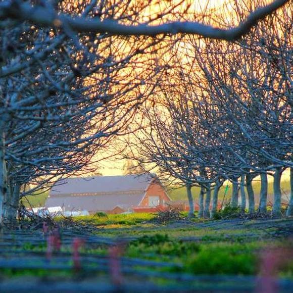 alice waters Quotes Eating Healthy Food,Healthy Eating