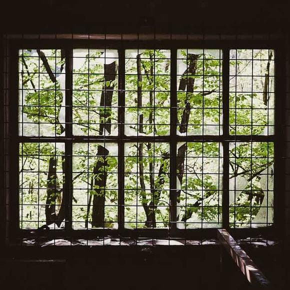 hermann hesse Quotes Minutes,Encounters,Nevertheless