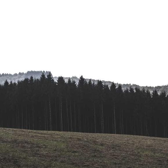 max richter Quotes Really Interesting,Encounters,Hearing