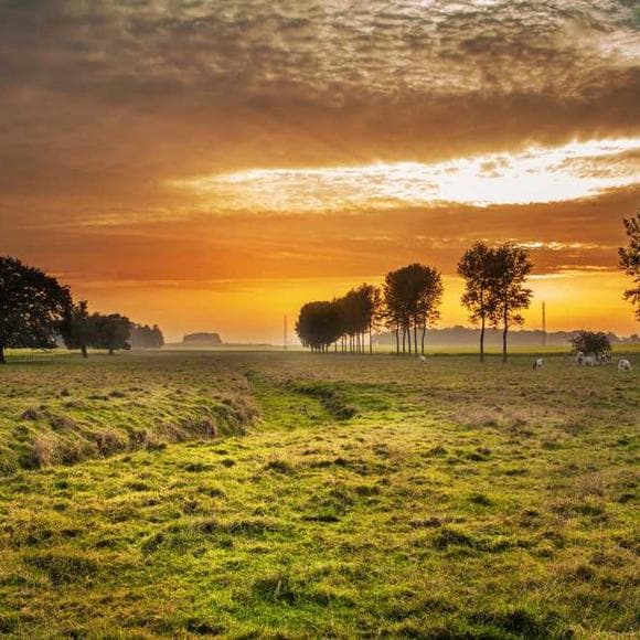 c. s. lewis Quotes Forgiveness,Enjoyment,Sublime