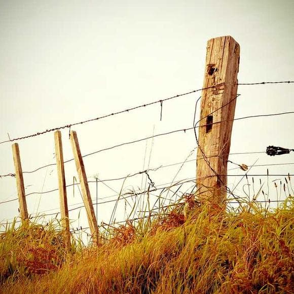 paul hawken Quotes Nuclear,Environment,Landfills