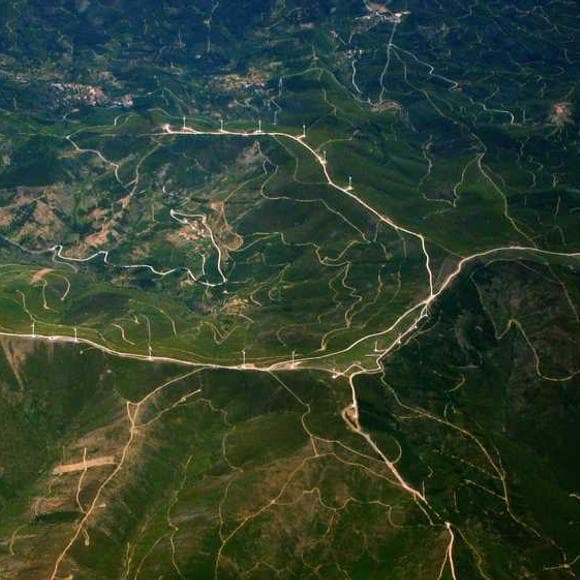 alanis morissette Quotes Environment,Taking Responsibility,Free Will
