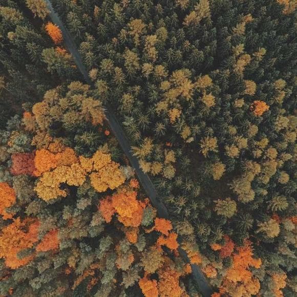 jonathan safran foer Quotes Would Be,Environment
