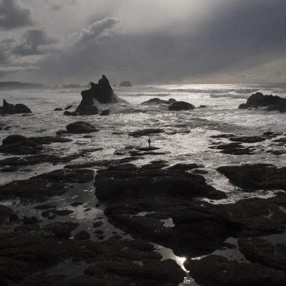 alan lightman Quotes Essays,Thinker