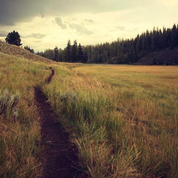 jim harrison Quotes Survived,Marriage,Together