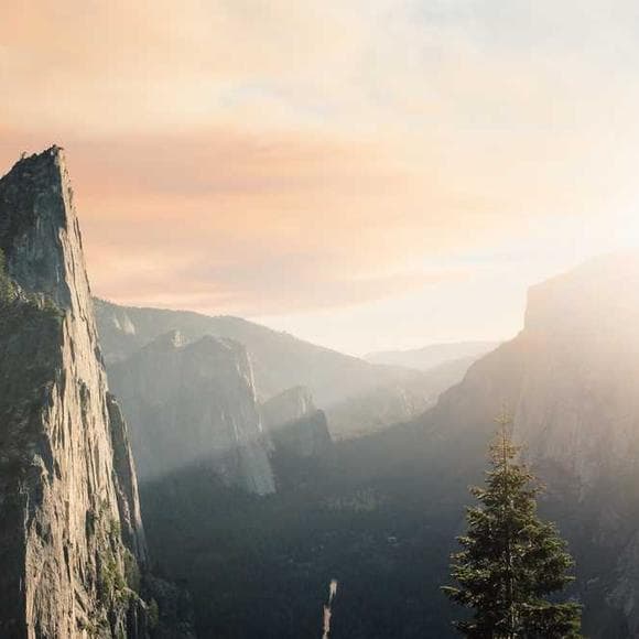 marcus aurelius Quotes Evolution,Tendencies,Streams