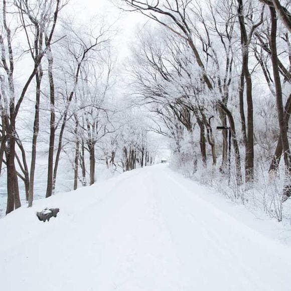 aleksandr solzhenitsyn Quotes Preserves,Excitement,Scent