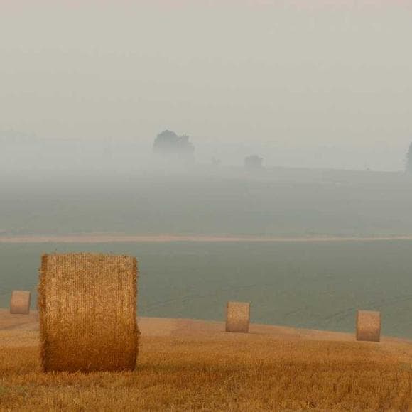 paul virilio Quotes Extensions,Territory