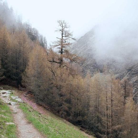 rainer maria rilke Quotes Your Children,Faces,Just One
