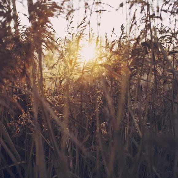 ernest hemingway Quotes Wind,Hills,Horse