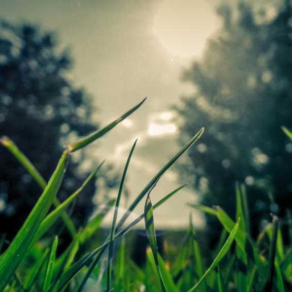 meister eckhart Quotes Hard,Farmers,Thrive