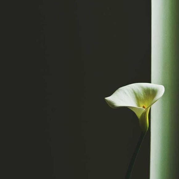 michel de montaigne Quotes Fear,Favourite,Happy Life