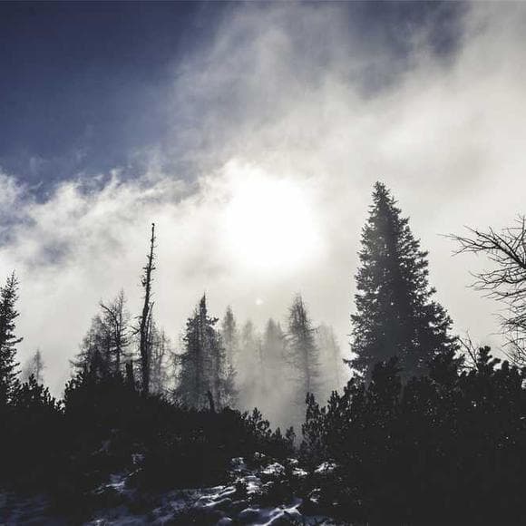 henry david thoreau Quotes Features,Young Women