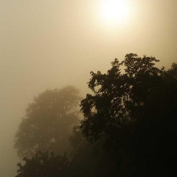 benjamin franklin Quotes Fields,Weather,Sects
