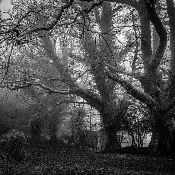 frederick sommer Quotes Fields,Heart And Mind,Photograph