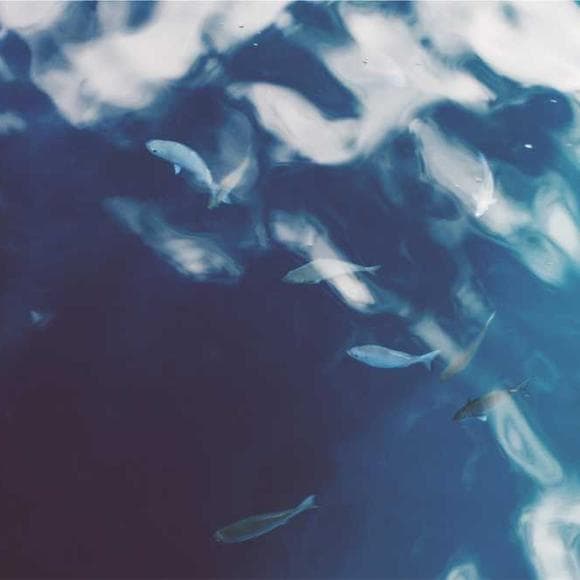 david salle Quotes Film,Fluidity,Surprise