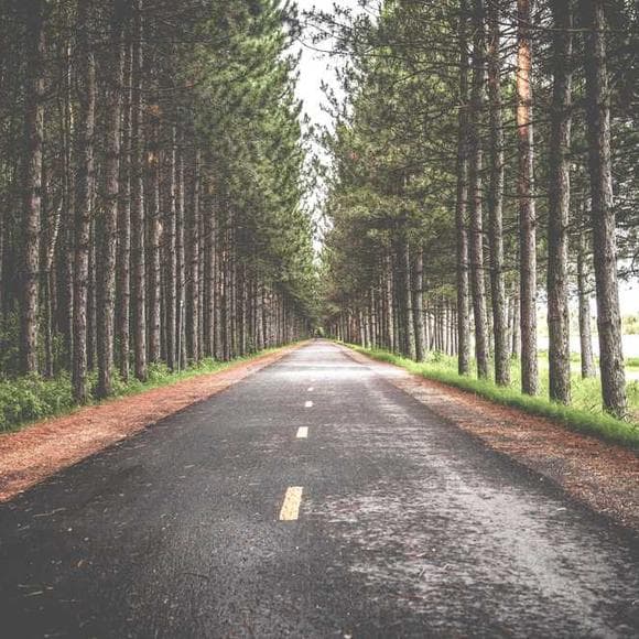 elisabeth kubler-ross Quotes Inspirational Life,Finding Peace
