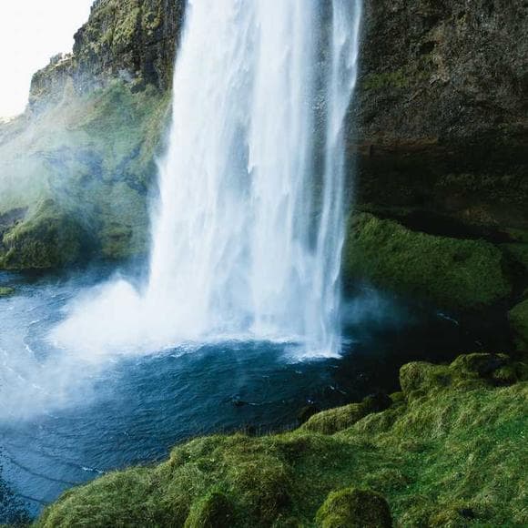 tara brach Quotes Timeless,Midst,Touched