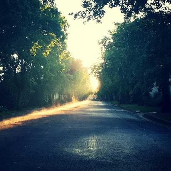 robert green ingersoll Quotes June,Flood,Sunshine