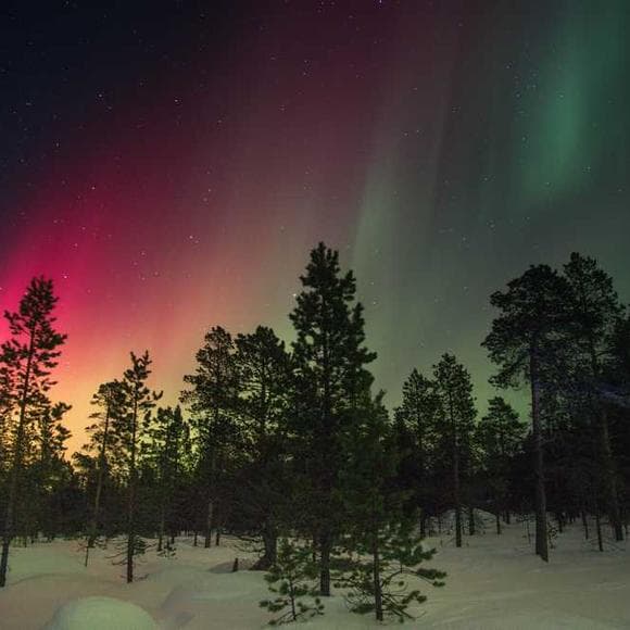 joseph campbell Quotes Forests,Hero Journey,Follow Your Bliss