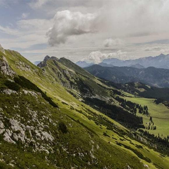david mitchell Quotes Strands,Trails,Footprint