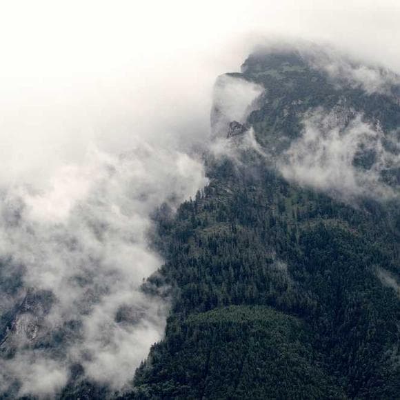 viggo mortensen Quotes Quiet,Forests,Quiet Moments