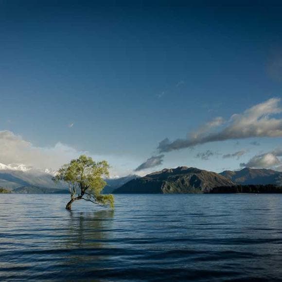 thomas merton Quotes Forget,Sufficient,Helpless