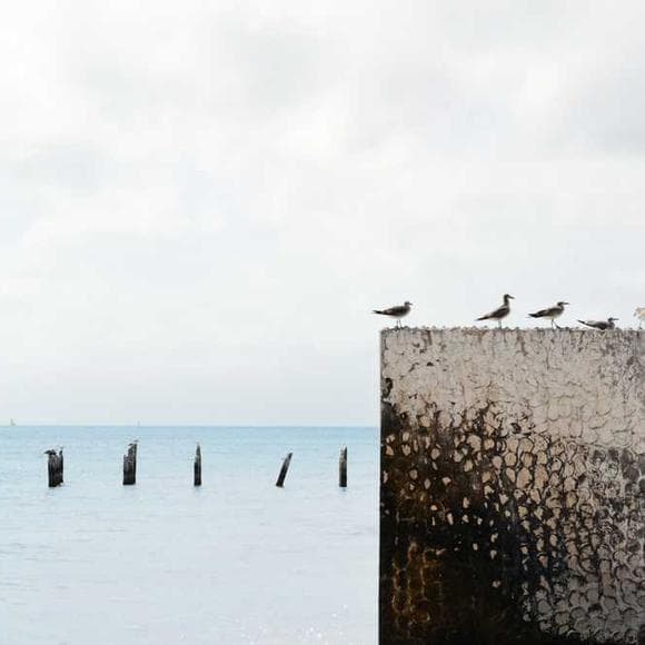 robert smithson Quotes Gallery,Outside World,Works Of Art