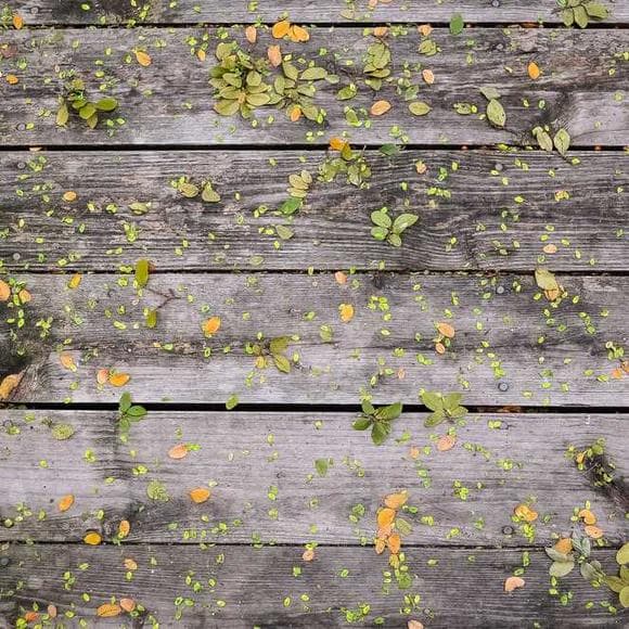 ben stiller Quotes Productive,Gardener,Postman