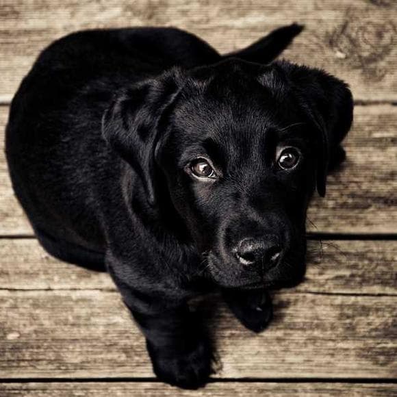 c. s. lewis Quotes Granted,Should I
