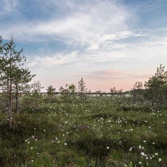henry david thoreau Quotes Gratitude