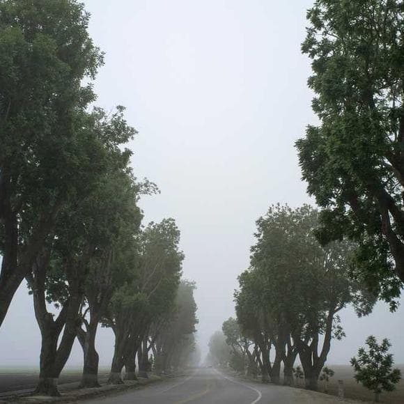 jonathan safran foer Quotes Growing Old,Life Learning,Protect Yourself